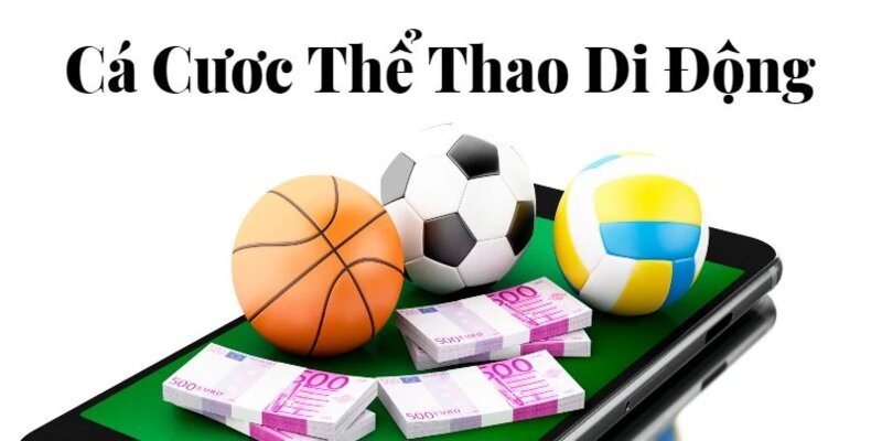 Thể thao 69VN hỗ trợ đa nền tảng