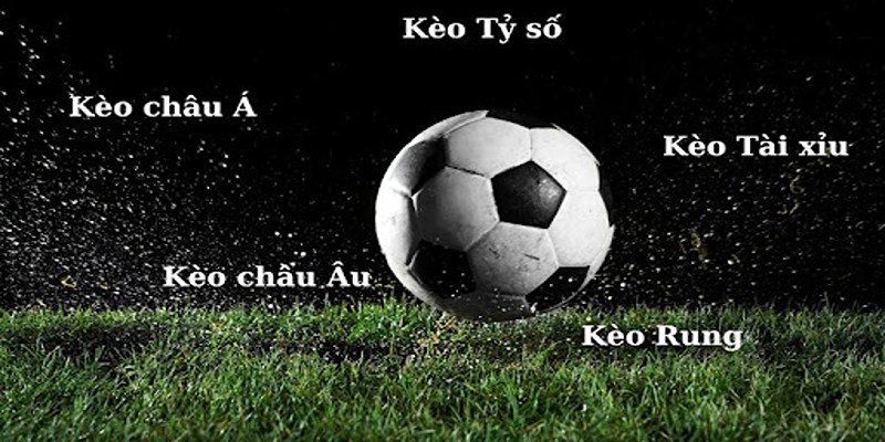 Thể thao 69VN có phong phú kèo đặc sắc