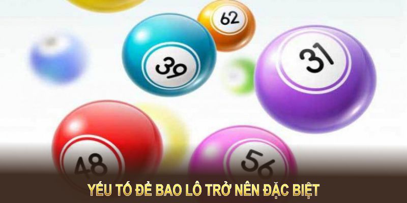 Có rất nhiều yếu tố để hình thức bao lô trở nên đặc biệt 